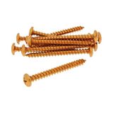 Vicma Fairing Screws geanodiseerd aluminium oranje - set van 12 stuks - M5x50