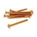 Vicma Fairing Screws geanodiseerd aluminium oranje - set van 12 stuks - M5x50