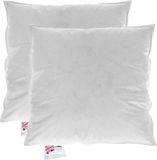 Homescapes Kussenvulling Set van 2 – 30x30 cm – Ganzendons & Veren Binnenkussens – 100% Katoen Tijk – OEKO-TEX® & RDS Gecertificeerd