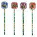 Tortues Ninja Crayon Tortues Ninja Adolescentes Avec Gomme