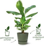 Elho Greenville Rond 25 - Pot pour extérieur avec réservoir d'eau - 100% plastique recyclé - Ø 24.5 x H 23.3 cm - Sable doré