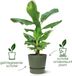 Elho Greenville Rond 25 - Pot pour extérieur avec réservoir d'eau - 100% plastique recyclé - Ø 24.5 x H 23.3 cm - Sable doré