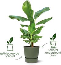 Elho Greenville Rond 25 - Pot pour extérieur avec réservoir d'eau - 100% plastique recyclé - Ø 24.5 x H 23.3 cm - Sable doré