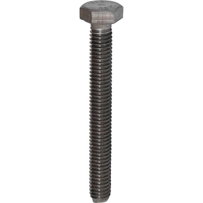 Tapbouten RVS M6x60mm (10 Stuks)