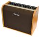 Fender Acoustic 100 akoestische-gitaarversterkercombo