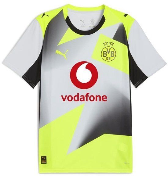PUMA Buitenmaillot Borussia Dortmund 2025/26 Grijs Maat M