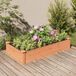 Maison Exclusive - Jardinière surélevée avec bac intégré, couleur marron, dimensions 120x60x25 cm, en bois massif de sapin