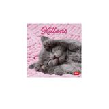 Legami Calendrier mural 2027, chatons, petit calendrier mural de 12 mois et planificateur annuel en 6 langues, espace pour notes, signes du zodiaque, fêtes internationales, 18 x 18 cm