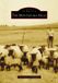 The Arcadia Publishing (Sc) Images of America-The Montezuma Hills Paperback