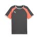 PUMA IndividualLIGA Jersey