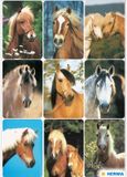 Merkloos / Sans marque Herma Benelux B.V. Paardenhoofden stickers - 3x vellen - dieren - boerderij - kinderen - agenda