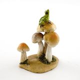 Top Collection Fairy Garden en terrariumbeelden