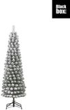 Black Box Edelman B.V. Charlton Pilar x-mas tree green frosted TIPS 280 - h185xd53cm