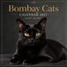 Bombay Cats Calendar 2027