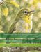 Bird Cross Stitch Pattern Collection: Wakatobi White-Eye
