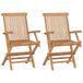 vidaXL Tuinstoelen 2 stuks massief teakhout