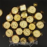 Bertus Distributie Luck Of Eden Hall The Acceleration Of Time (Black) 2LP