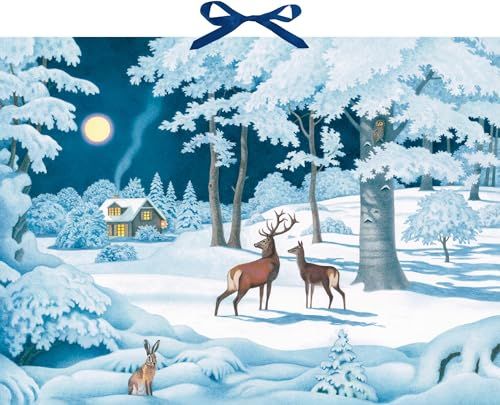 Wand-Adventskalender Coppenrath Wand-Adventskalender - Wintertiere bei Nacht
