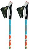 Gabel Nordic Energy F.l Stokken Groen 70-110 cm