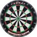 Dartbord professionnel