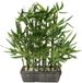 Kunstmatige bamboeplant in schaal met decoratieve stenen, bamboegras, citroengras, kunstplant, groene plant, kunstboom, kamerplant, bamboeplant, bamboeboom, struik, citroengras, Aziatische grassen,