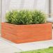 Maison Exclusive - Pot de fleurs pour le jardin, brun foncé, 110x110x46 cm, bois de pin massif