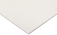 RS PRO PC kunststof plaat, transparant, 6mm x 610mm x 1250mm