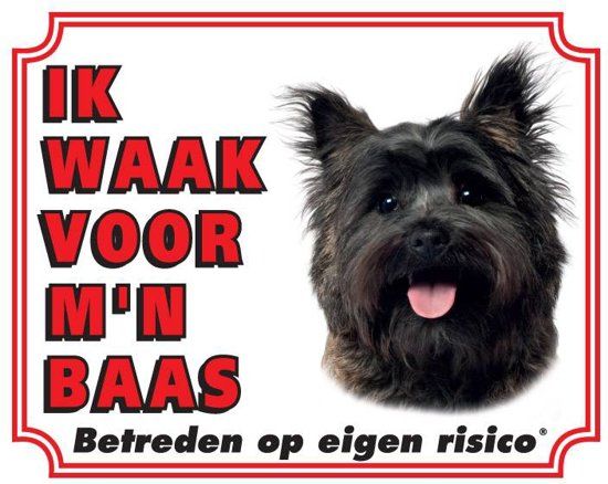 Stickerkoning Cairn Terrier Bruin Waakbord 20 x 25 cm