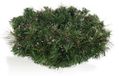 Unyqoos® LED-Weihnachtskranz mit Timer – 30 warmweiße LEDs, vielseitig einsetzbar als Türkranz, Tischkranz und Adventskranz, aus Kunststoff mit Zapfen, Zweigen und Metall
