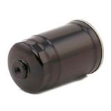 STARK SKFF-0870051 - Brandstoffilter voor Accent IV (RB), Elantra (HD), Elantra (MD, UD), i10 (PA), i20 (GB, IB), i20 (P