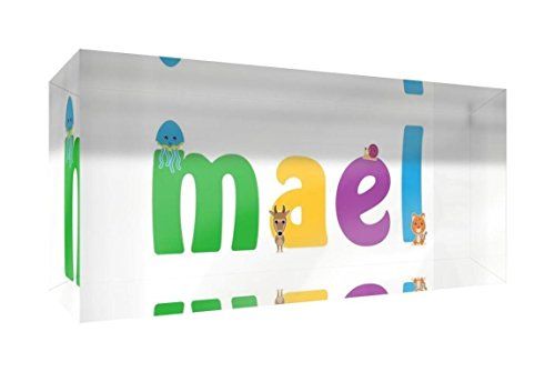 Mael - Herinnering - Acryl - Transparant - 5 x 21 x 2 cm