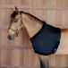Kentucky Horsewear protège-poitrine noir taille M