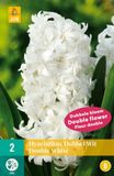 JUB Hyacinthus dubbel wit JUB, 2 bollen