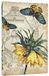 Golden Paperblanks Golden Fritillaria Mini Lined Softcover Journal, 208pg, 80gsm, New York Botanical Garden