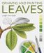 Drawing The Crowood Press Ltd Drawing and Painting Leaves Paperback