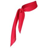 Sarlini Fuchsia Scarf