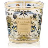 Baobab Collection My First Baobab