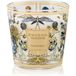 Baobab Collection My First Baobab