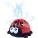 Happy People Watersproeier Lieveheersbeestje 16 Cm Rood/zwart