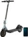 Cecotec Trottinette électrique 07105 BONGO SERIE M20 Noir/Vert