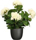 Mica Decorations Hortensia Kunstplant 45 cm Wit in Zwarte Pot