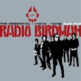 The Radio Birdman - The Essential Radio Birdman (1974 - 1978) (2 LP)
