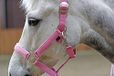 Pony Kerbl Lilli Starlight Pony Halster met geleidselwerk