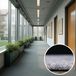 Wembley tapis d'herbe artificielle 200x400 cm, gris clair