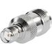 BKL Electronic 0419423 Connecteur TNC inversé TNC inversé-bus - SMA-bus
