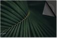 Dietrix Inductie beschermer 60x52 - DELUXE - Leaves - 18 Bladeren puntig