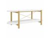 Maison Exclusive - Table basse, blanc, 110x48x40 cm, panneau de particules