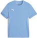 Puma TeamGoal wedstrijdshirt voor kinderen jr 705748