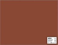 APLI Bruin Karton 50 x 65 cm 170 g/m² - 25 vel