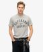 Superdry Surplus T-shirt met print